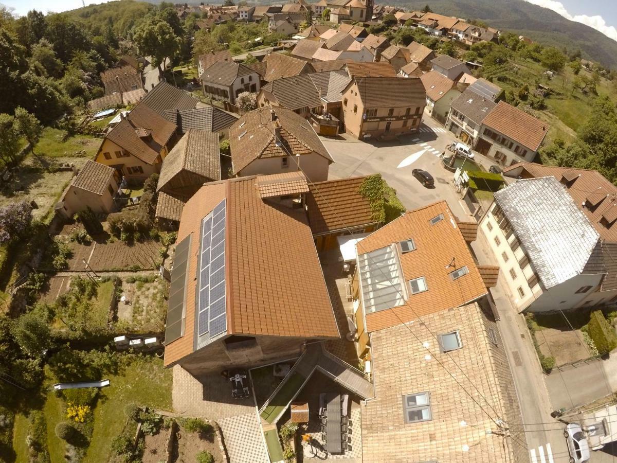 Osenbach Le Domaine Du Verger, Chambres D'Hotes المظهر الخارجي الصورة